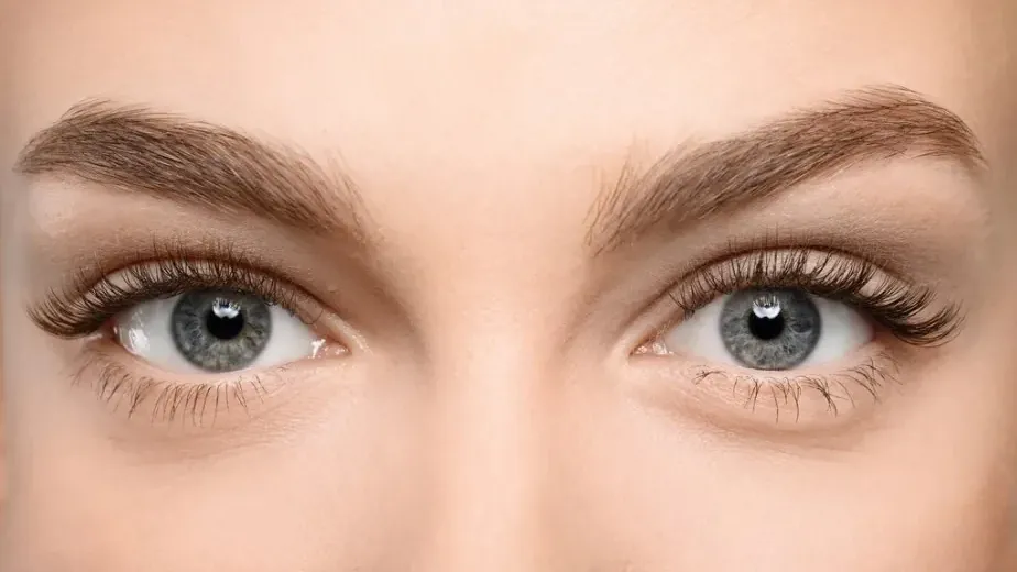 A real deep-set eye, the shape this map is drawn for.